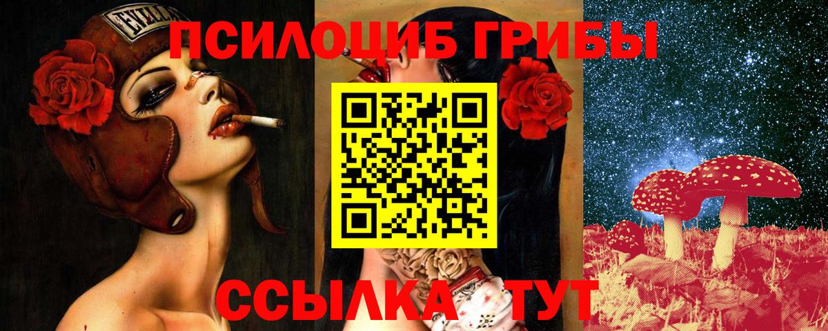 Крымск  Псилоцибиновые грибы MAGIC MUSHROOMS  Вход с VPN 