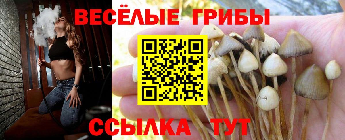 Cocaine  MDMA  Каннабис  Крымск  НБОМе  Вход с VPN  Меф МЯУ МЯУ  Меф  