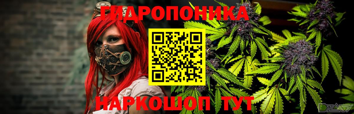 Шишки марихуана конопля Крымск